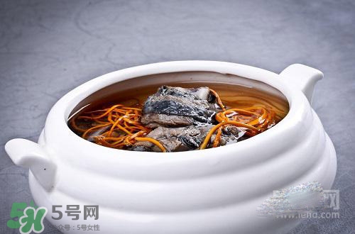 蟲草花怎么吃？蟲草花的吃法用量