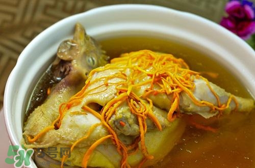 蟲草花怎么吃？蟲草花的吃法用量