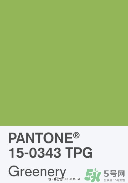 草綠色配什么顏色好看？草綠色和什么顏色最搭？