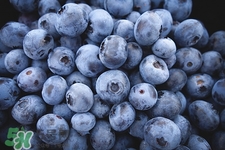 藍莓可以空腹吃嗎?空腹吃藍莓好嗎 藍莓可以空腹吃嗎?空腹吃藍莓好嗎