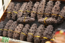 海參刺多好還是少好?海參沒有刺是怎么回事? 海參刺多好還是少好?海參沒有刺是怎么回事?