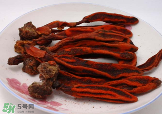 回春草有什么功效？回春草的功效與作用 