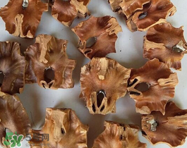 核桃分心木多少錢一斤？核桃分心木價(jià)格