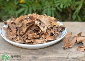 分心木真的能治失眠嗎？分心木治療失眠有奇效