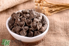 辣木籽是什么東西?辣木籽的功效與作用 辣木籽是什么東西?辣木籽的功效與作用