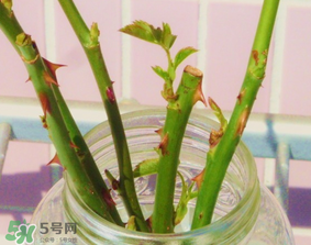 立春可以理發(fā)嗎？立春可以洗頭嗎？