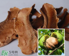 核桃分心木能長期喝嗎？核桃分心木一天喝幾次？