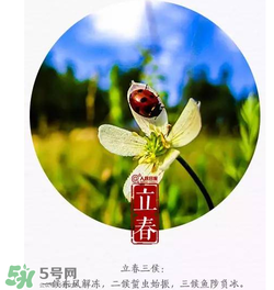 立春可以出門嗎？立春為什么不能出門？