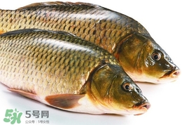 吃鯽魚可以暖胃嗎?鯽魚怎么吃最暖胃? 吃鯽魚可以暖胃嗎?鯽魚怎么吃最暖胃?