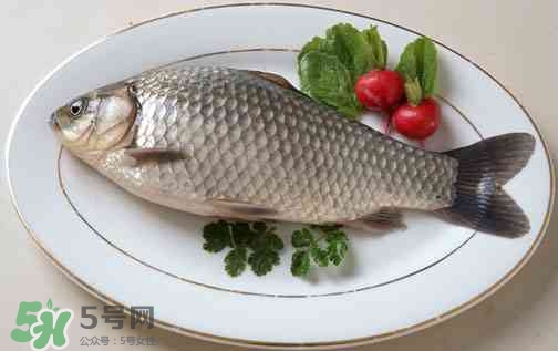 吃鯽魚可以暖胃嗎?鯽魚怎么吃最暖胃? 吃鯽魚可以暖胃嗎?鯽魚怎么吃最暖胃?