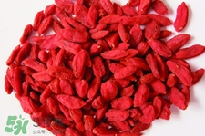 有乙肝能吃枸杞嗎？乙肝病人可以吃枸杞嗎？