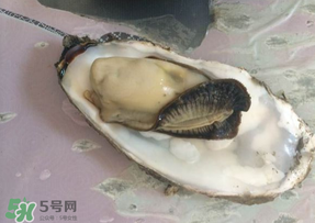 生蠔多少錢一斤？生蠔一斤有幾個(gè)？