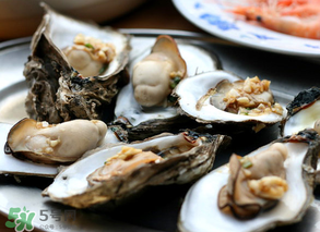 生蠔多少錢一斤？生蠔一斤有幾個(gè)？