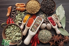 假冒調(diào)料有什么危害 假冒調(diào)料怎么辨別 假冒調(diào)料有什么危害 假冒調(diào)料怎么辨別