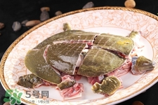 有乙肝可以吃甲魚嗎？乙肝患者禁吃甲魚