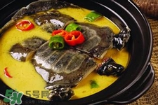 有乙肝可以吃甲魚嗎？乙肝患者禁吃甲魚