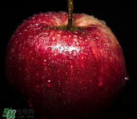 蘋果放在水里是沉還是浮？蘋果的密度是多少？