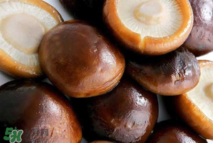 一歲寶寶可以吃香菇嗎？寶寶多大可以吃香菇？