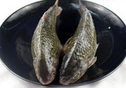 吃草魚(yú)可以暖胃嗎?草魚(yú)怎么吃最暖胃?