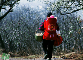 立春可以回娘家嗎？立春能在娘家過嗎？