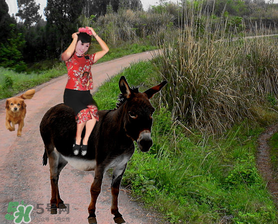 立春可以回娘家嗎？立春能在娘家過嗎？