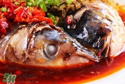 剁椒魚頭用什么魚頭最好?剁椒魚頭用的是什么魚頭? 剁椒魚頭用什么魚頭最好?剁椒魚頭用的是什么魚頭?