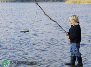 立春能釣魚嗎？立春好釣魚嗎？