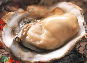 生蠔隔夜可以吃嗎？隔夜的生蠔能吃嗎？