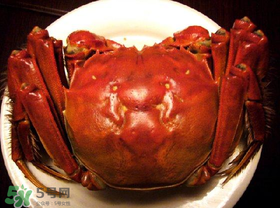 臘月吃什么蟹？臘月吃公蟹還是母蟹？