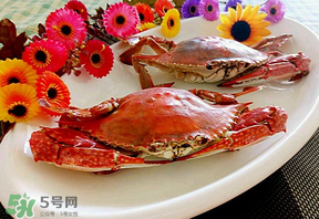 臘月吃什么蟹？臘月吃公蟹還是母蟹？