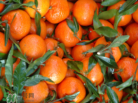 臘月吃什么水果？臘月有什么好吃的水果？