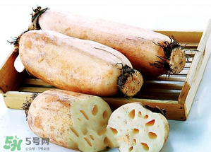 臘月吃什么蔬菜？臘月吃什么素菜？