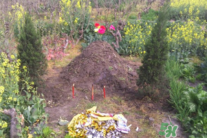 臘月可以上墳嗎？臘月上墳時間