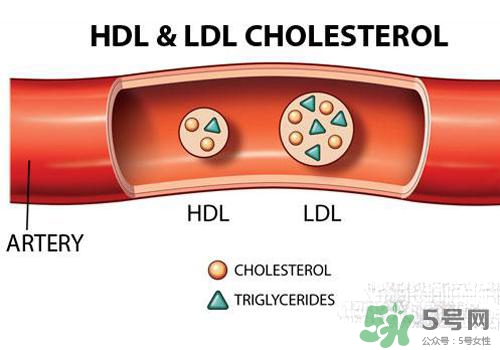膽固醇高是血脂稠嗎？膽固醇高和血脂稠有什么聯(lián)系？
