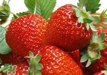 立春吃什么水果？立春養(yǎng)生水果推薦