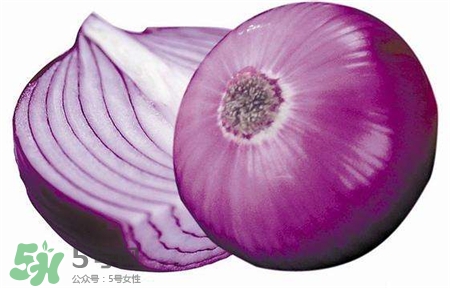 洋蔥放腳底能治感冒嗎?洋蔥放腳底的功效 洋蔥放腳底能治感冒嗎?洋蔥放腳底的功效