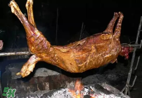 烤全羊多少錢一只？烤全羊用的什么羊？