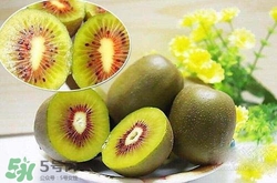 喝酒后可以吃獼猴桃嗎？酒和獼猴桃可以一起吃嗎？