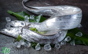 帶魚多少錢一斤？帶魚多少錢一箱？