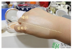 赫拉氣墊bb霜和雪花秀哪個(gè)好？赫拉氣墊bb霜和亦博哪個(gè)好