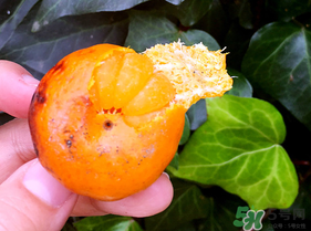 橘子烤著吃會(huì)上火嗎？烤橘子上火嗎？