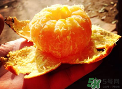 烤橘子可以用煤氣灶嗎？橘子用煤氣灶烤有毒嗎？