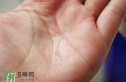 美容液是化妝水嗎？美容液和化妝水的區(qū)別