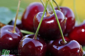 冬天可以吃車厘子嗎？冬天的車厘子能吃嗎？