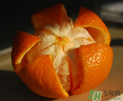 橙子里面為什么有蟲(chóng)子？橙子里面有蛆蟲(chóng)的原因