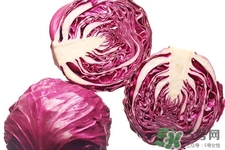 紫甘藍(lán)是轉(zhuǎn)基因食品嗎？紫甘藍(lán)是轉(zhuǎn)基因蔬菜嗎？