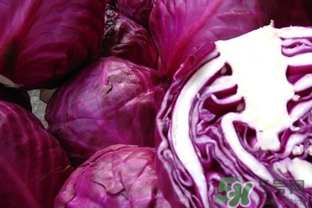 紫甘藍(lán)是轉(zhuǎn)基因食品嗎？紫甘藍(lán)是轉(zhuǎn)基因蔬菜嗎？