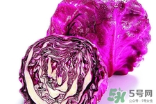 涼拌紫甘藍(lán)用焯水嗎？紫甘藍(lán)涼拌需要焯水嗎？