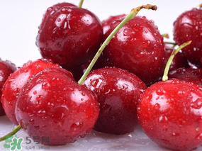 為什么吃車?yán)遄訒亲樱砍攒嚴(yán)遄永亲釉趺崔k？