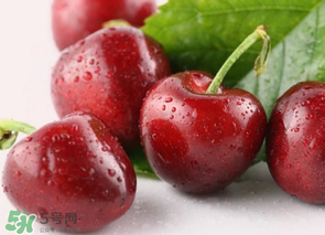 為什么吃車?yán)遄訒亲?？吃車?yán)遄永亲釉趺崔k？